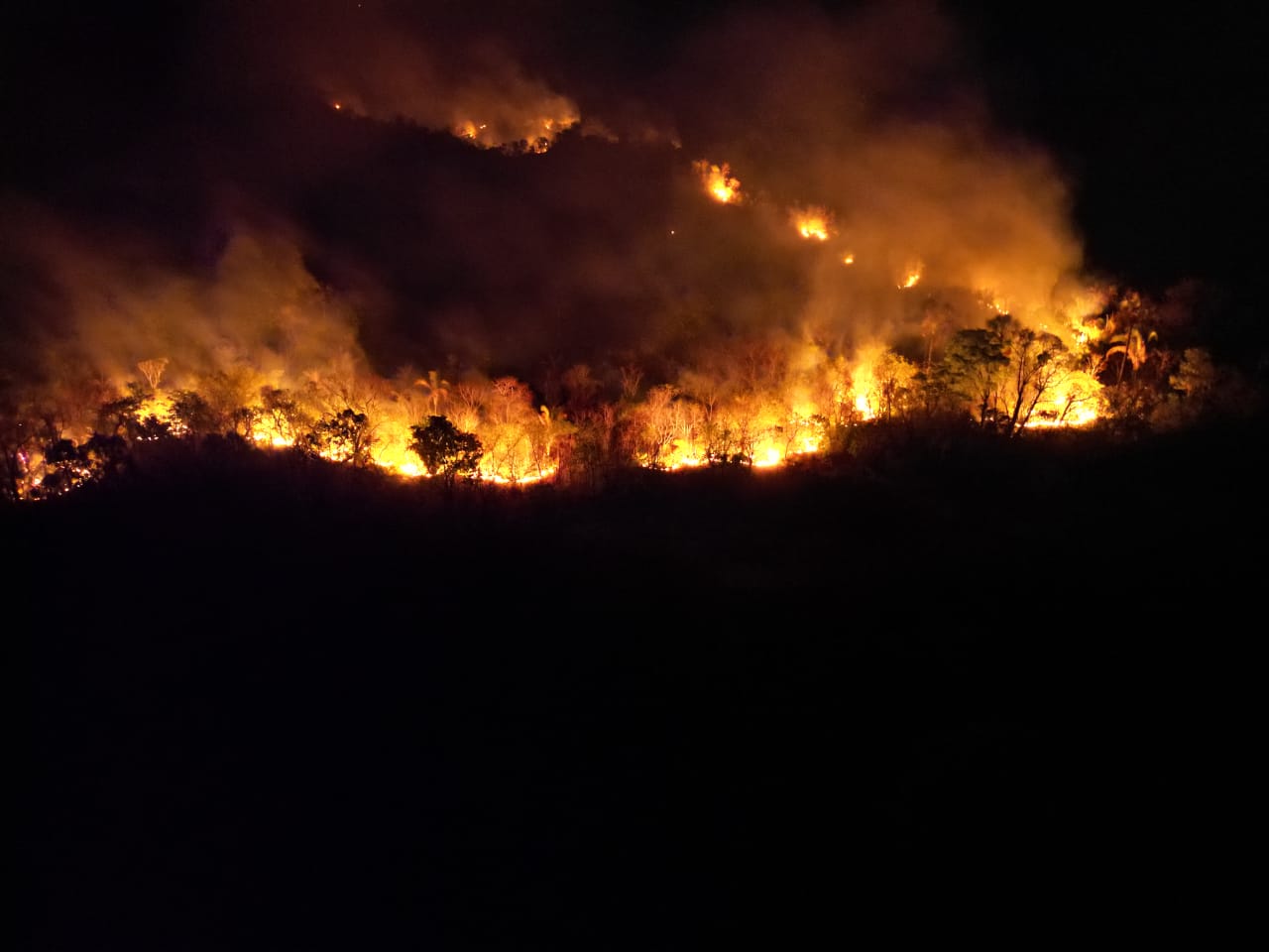 cerrado goiano regiões de goiás emergência governo federal