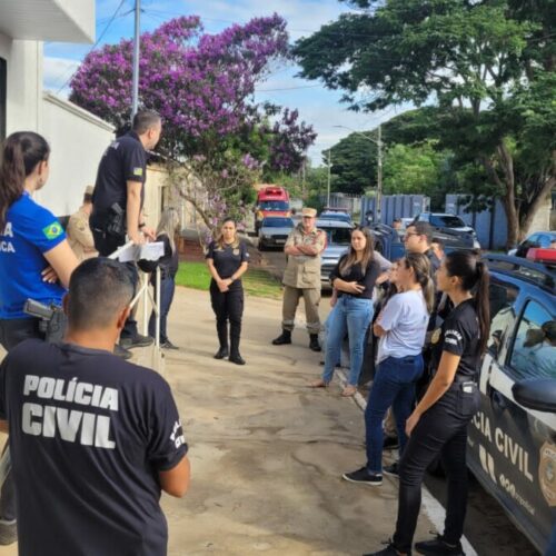 clinica clandestina hidrolândia goiás