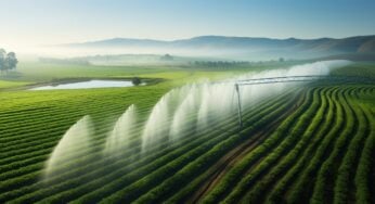 Biólogo fala sobre uso consciente e sustentável da água para a indústria e agropecuária