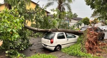 Chuva forte deste último sábado (31) causou estragos e alagamentos em Goiânia