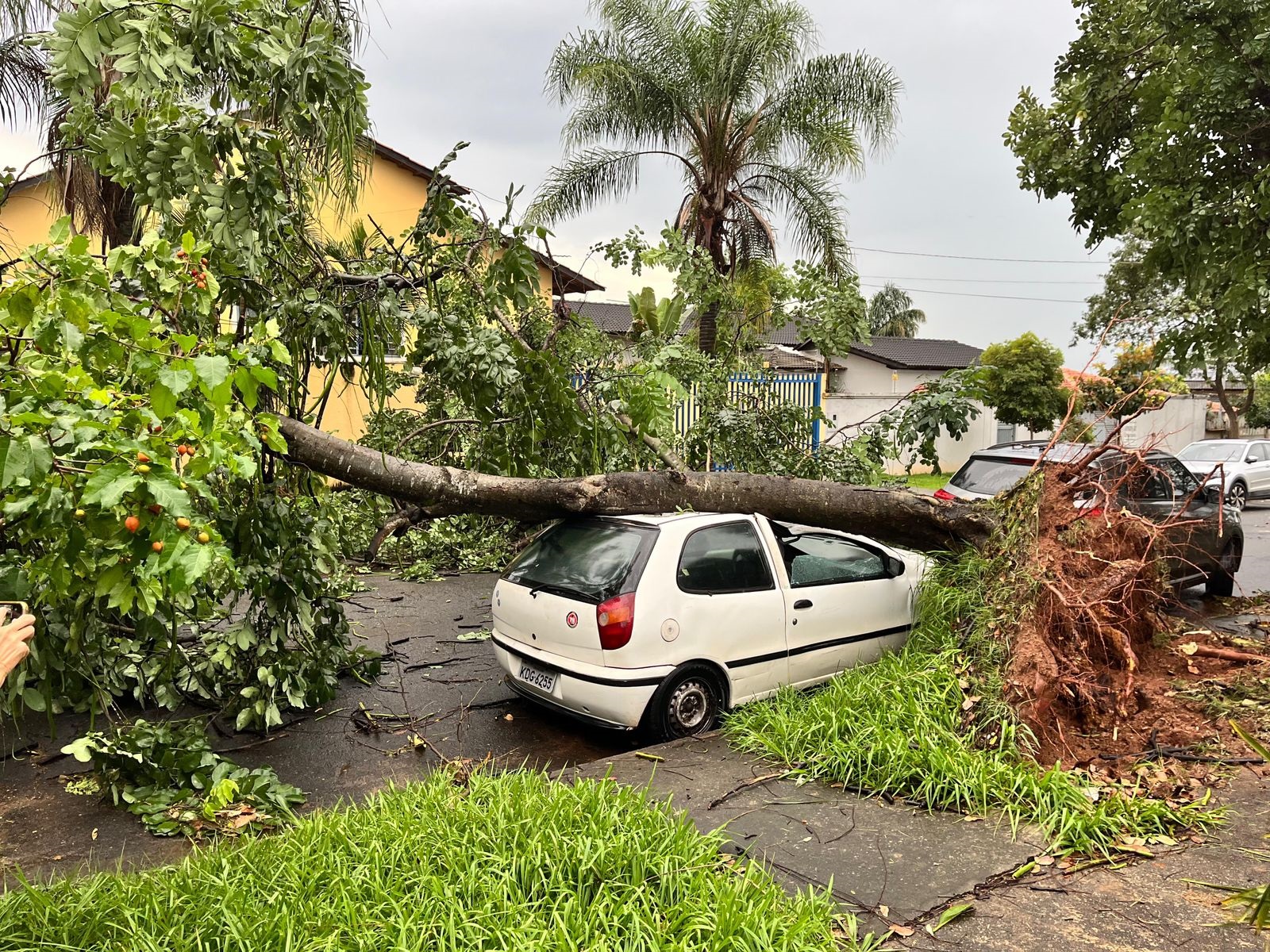 Chuva forte deste último sábado (31) causou estragos e alagamentos em Goiânia