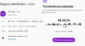 Membros de quadrilha são presos por aplicar golpes por meio da OLX