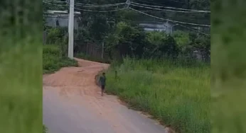 Homem em situação de rua é sequestrado, amarrado e jogado em córrego de Senador Canedo