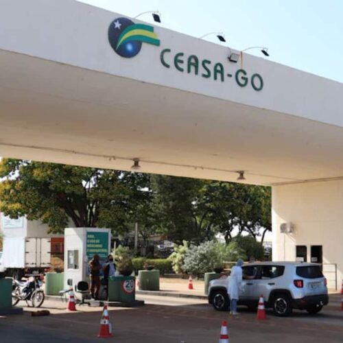 ceasa-goias