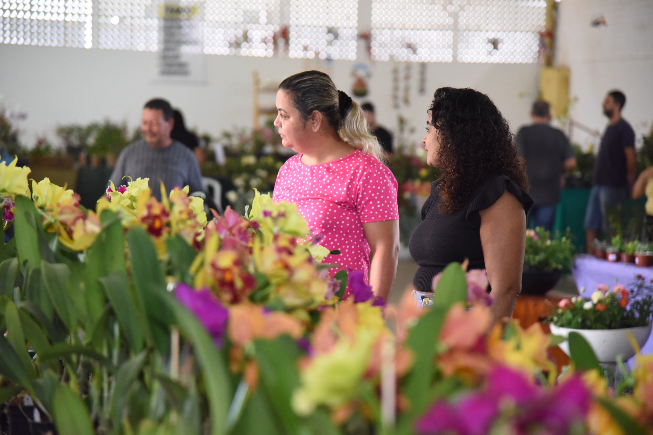 Prefeitura de Aparecida realiza exposição de orquídeas e rosas do deserto na semana da mulher