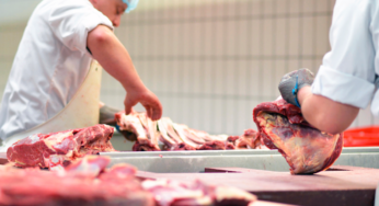 Preço das carnes se manterá baixo devido a alta da produção, aponta Conab