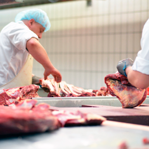 produção de carnes brasil goiás