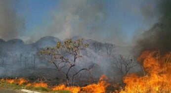 Bombeiros registram 467 incêndios em Goiás no último final de semana