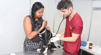 Mutirão no fim de semana oferecerá serviços veterinários para pets em Goiânia