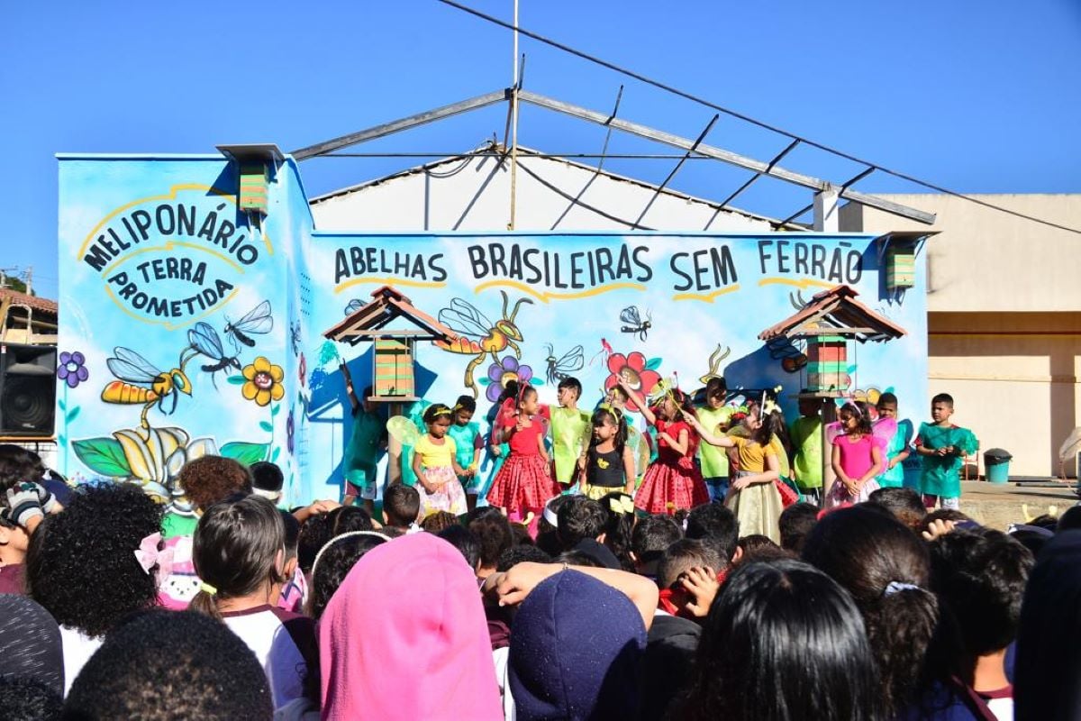 Meliponário em escola pública de Aparecida recebe prêmio nacional do Sebrae