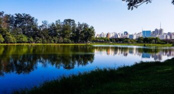 Veja o que se sabe sobre corpo nu encontrado no lago do parque Ibirapuera, em São Paulo