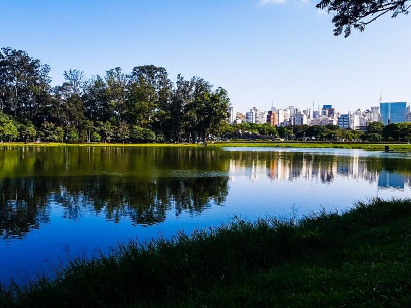 lago parque ibirapuera corpo nu cadaver