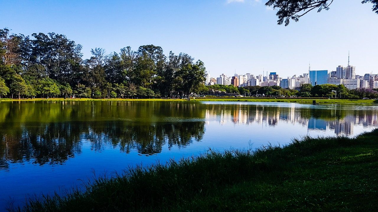 lago parque ibirapuera corpo nu cadaver