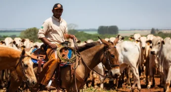 Setor agropecuário em Goiás gera 6,7 mil empregos em 2024