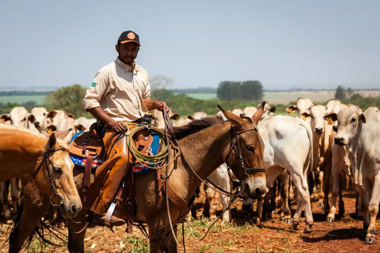 Setor agropecuário em Goiás gera 6,7 mil empregos em 2024