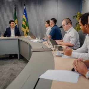 Daniel Vilela se reúne com executivos chineses. Foto: Hegon Corrêa