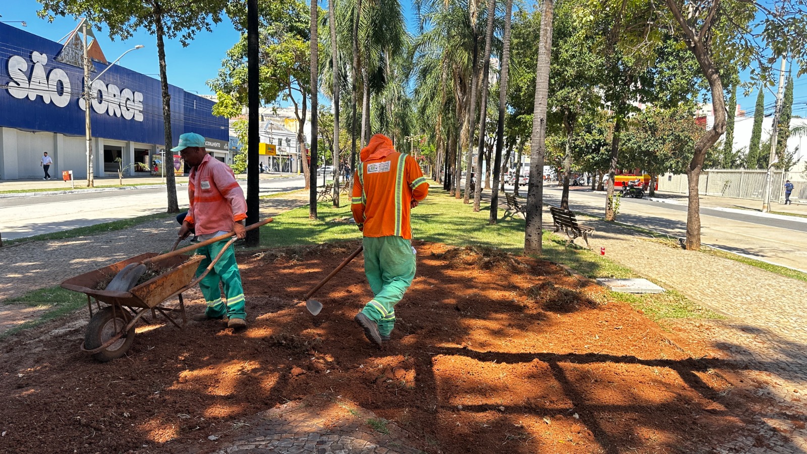 Canteiro central da Avenida Goiás passa por revitalização