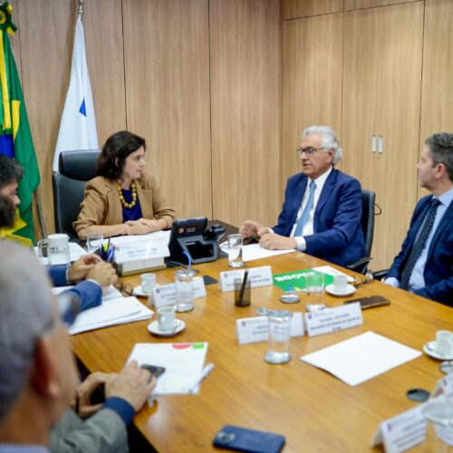 Ronaldo Caiado se reúne com ministra Nísia Trindade para solicitar verbas para a saúde. Foto: Lucas Diener