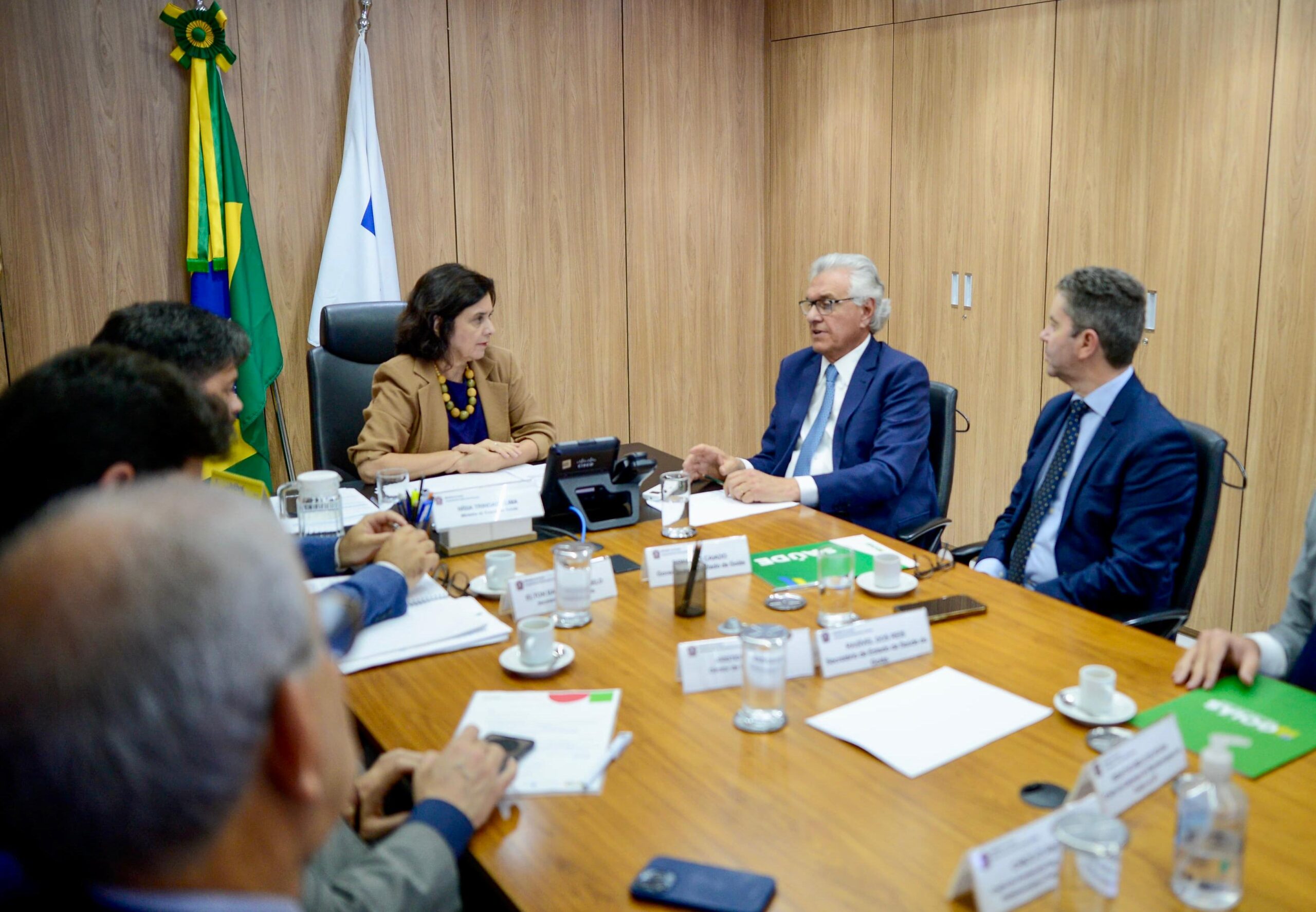 Ronaldo Caiado se reúne com ministra Nísia Trindade para solicitar verbas para a saúde. Foto: Lucas Diener