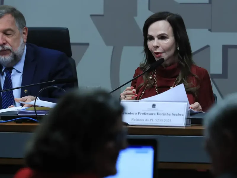 senadora Dorinha Seabra. Foto: Lula Marques/Agência Brasil