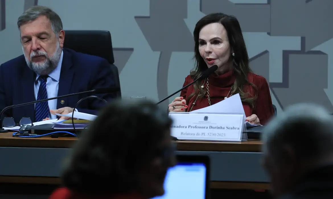 senadora Dorinha Seabra. Foto: Lula Marques/Agência Brasil