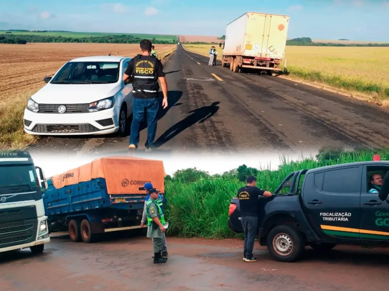 Operação fiscal da Receita Estadual nas rodovias durante período de safra. Foto: Seapa-GO