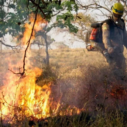 Queimadas. Foco de incêndio. Foto: Secom