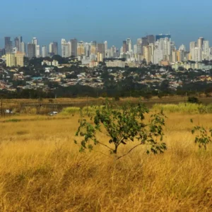 Tempo seco em Goiás. Foto: Semad