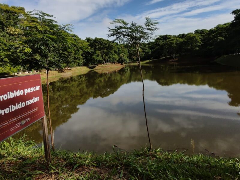 Amma destaque que soltura de peixes e outros animais em lagos de parques da capital é proibida. Foto: Amma