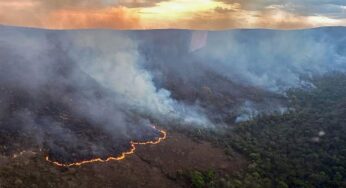 Incêndio destruiu 10 mil hectares do Parque da Chapada dos Veadeiros