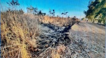 Polícia apura envolvimento de adolescentes em incêndio na zona rural de Anápolis