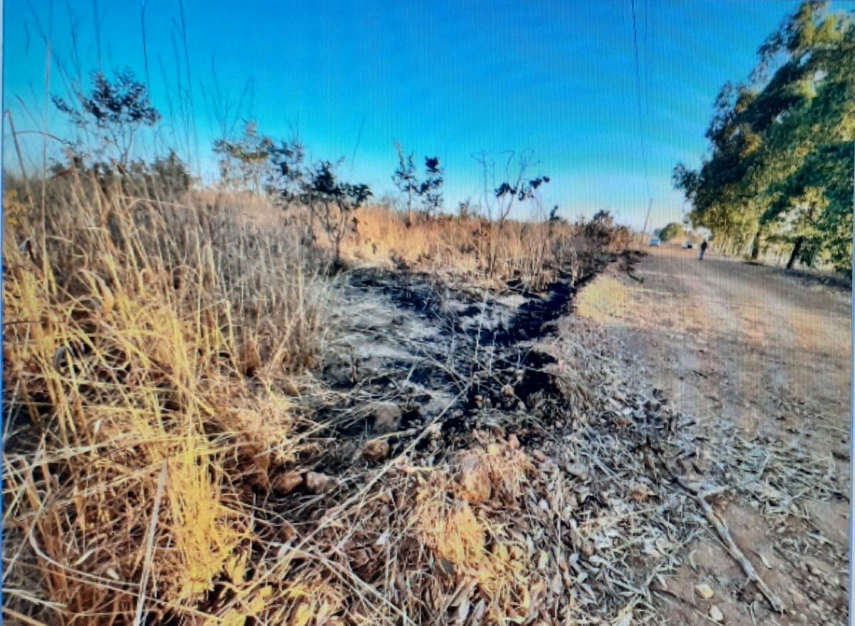 Polícia apura envolvimento de adolescentes em incêndio na zona rural de Anápolis