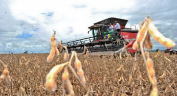 Balança comercial goiana atinge superávit de US$ 5 bilhões