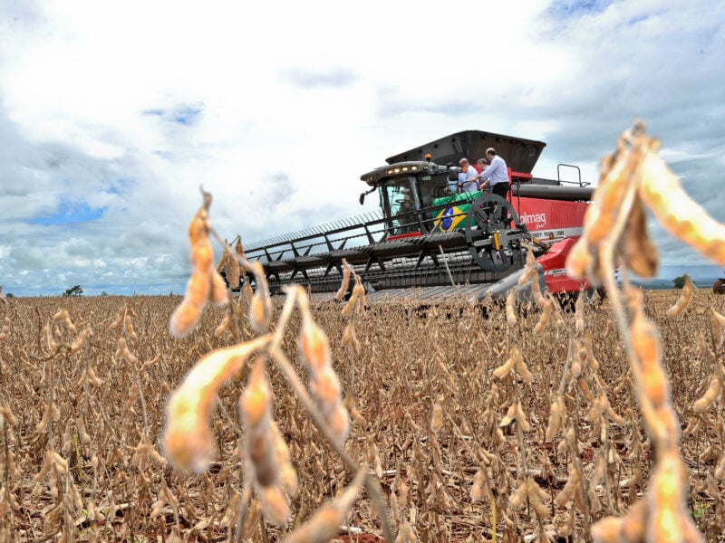 Soja é um dos principais produtos de exportação goiana. Foto: Secom