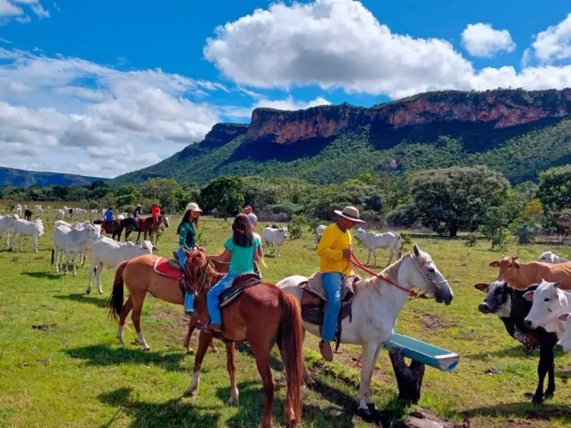 Nova Lei Geral do Turismo promete impulsionar turismo goiano. Foto: Goiás Turismo