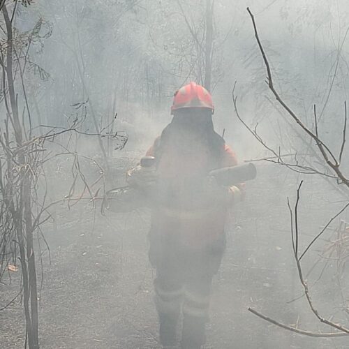 Bombeiros combatem terceiro foco de incendio no Parque Nacional da Chapada dos Veadeiros. Foto: CBMGO