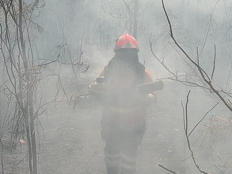 Bombeiros combatem terceiro foco de incendio no Parque Nacional da Chapada dos Veadeiros. Foto: CBMGO