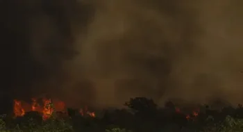 Incêndio no Parque Nacional de Brasília. Foto: Marcello Camargo/Agência Brasil