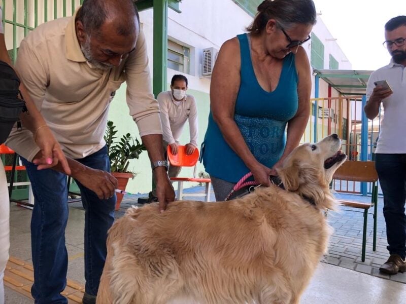 Vacinação Antirrábica Goiânia 2024. Foto: SMS