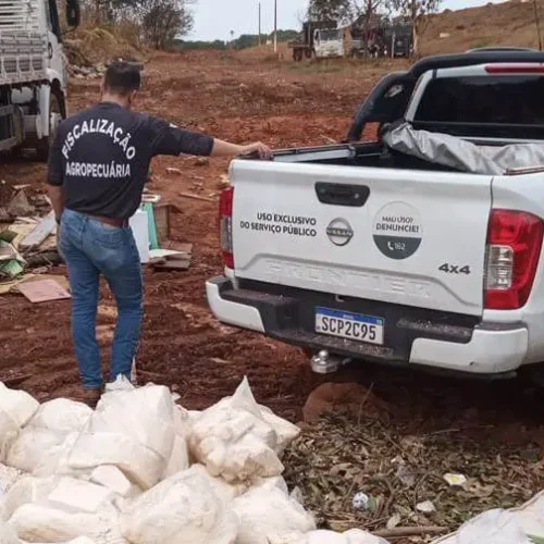 Agrodefesa apreende queijos impróprios para consumo em Anápolis. Foto: Agrodefesa