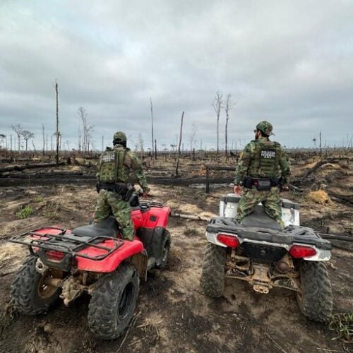 PF investiga incendios criminosos no país. Foto: PF/Divulgação