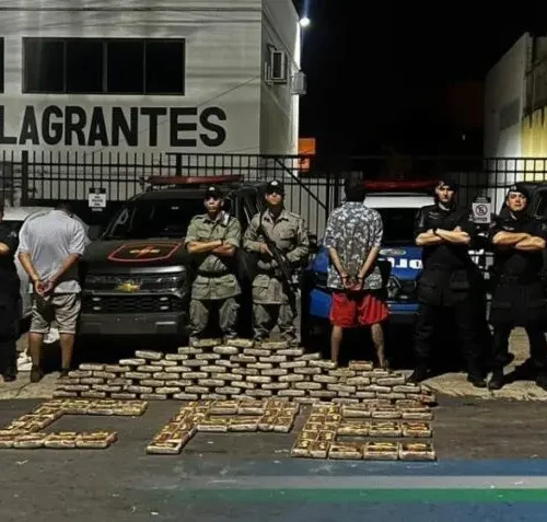 PMGO apreende carregamento de supermaconha. Foto: PMGO