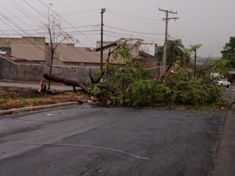 Tempestades em Goiás. Foto: Equatorial Goiás