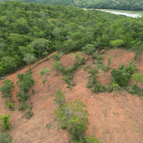 Área de desmatamento em Goiás. Foto: Semad