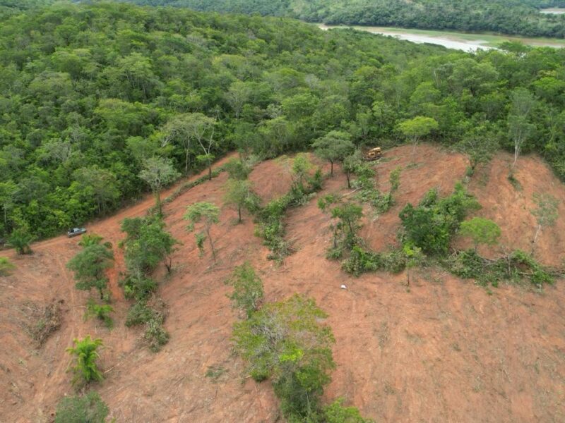 Área de desmatamento em Goiás. Foto: Semad