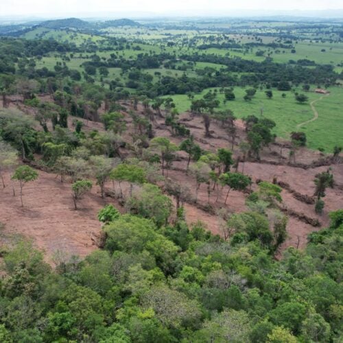 flagrante de desmatamento de sancrerlandia. foto: semad