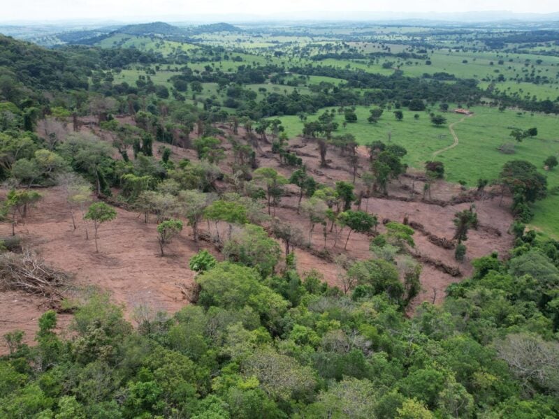 flagrante de desmatamento de sancrerlandia. foto: semad