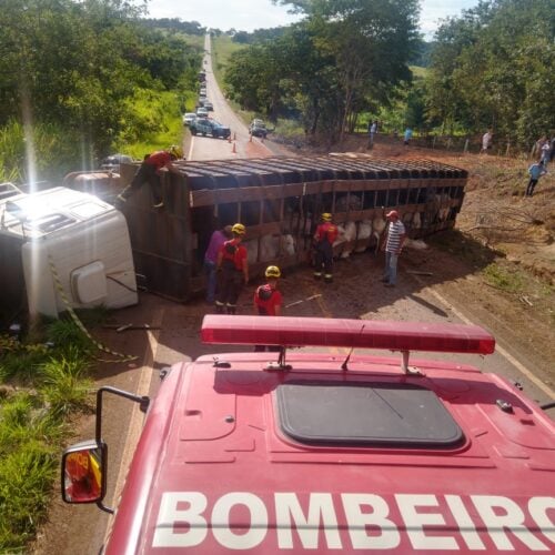 acidente com caminhão que carregava gado na GO-222. Foto: CBMGO